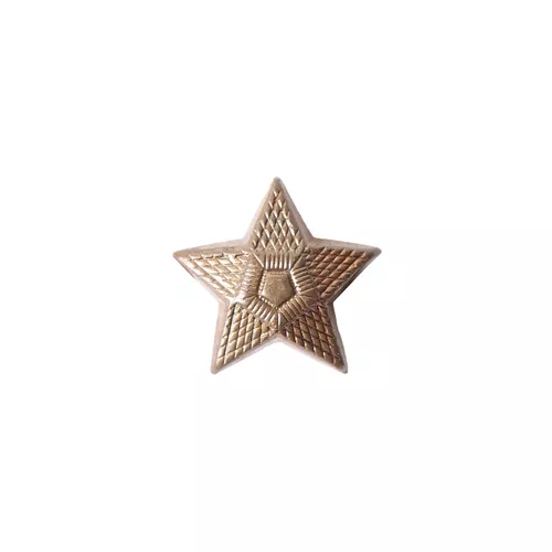 Odznak AČR hodnost hvězda bronzová malá 16mm