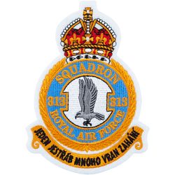 Nášivka: RAF 313. peruť