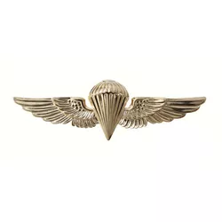 ROTHCO odznak U.S.N./U.S.M.C. PARAWING ZLATÝ